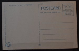 Hibiscus Blossoms, Florida