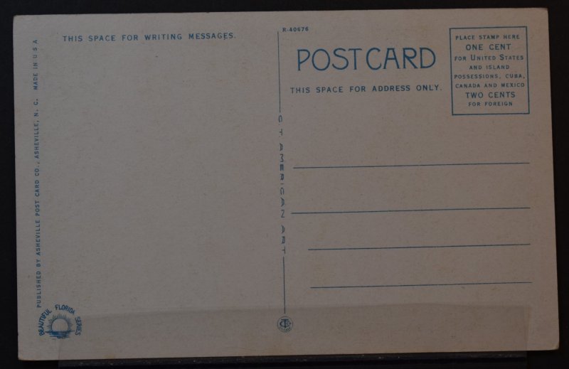 Hibiscus Blossoms, Florida