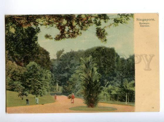 147143 SINGAPORE Botanic Garden Vintage undivided back pc