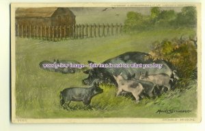 an0113 - A Sow and her Six Piglets in a Field, Artist Maude Skrivener - Postcard