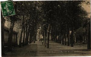 CPA PARAY-le-MONIAL La Promenade, Place du Marche (615991)