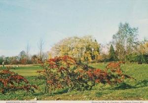 Golf Course Players Harpenden Hertfordshire Herts Womens Institute Postcard