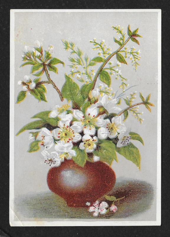 VICTORIAN TRADE CARD Great Atlantic & Pacific Tea Locations