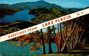 Greetings From Lake Placid New York Split View