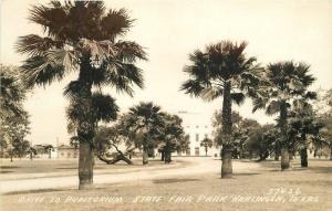 Auditorium State Fair Park 1930s Harlingen Texas RPPC Photo Postcard 12505