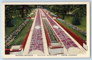 Denver Colorado Postcard Elitch Gardens Neonized Esplanade c1940 Vintage Antique