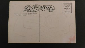 Mint Embossed Picture Postcard Native American Indian Cover Chief Yellow Hawk