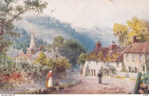 Bishop's Tawton, Barnstaple, 1900-1910s; TUCK 7075