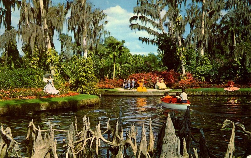 FL - Cypress Gardens. Cypress Knees