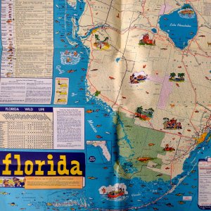 1950 Florida Vacation Travel Map Excellent For Framing MCM Tourguide Gulf Oil