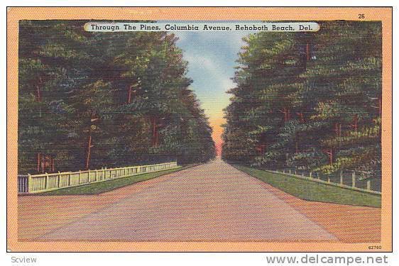 Through The Pines, Columbia Avenue, Rehoboth Beach, Delaware, PU_30-40s