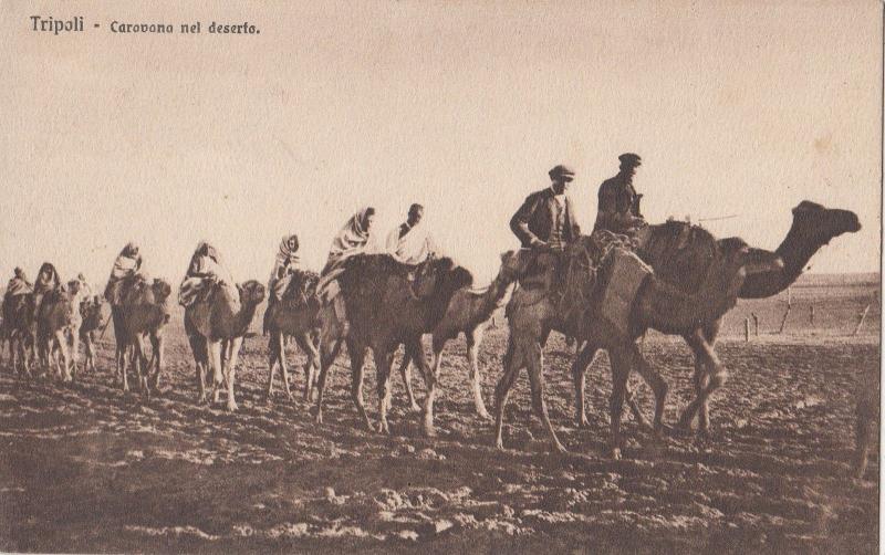 B81023 caravana del deserto camel  types tripoli  libia lybia  front/back image