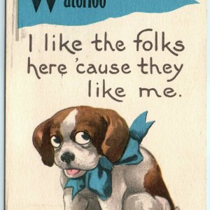 c1910s Cute Puppy Waterloo, Iowa Welcome Postcard Bergman Dog Tourist A26