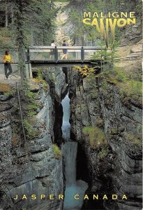 BT16473 Jasper Maligne canyon national park canada