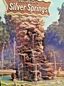 Postcard  Florida's Silver Springs in FL X5