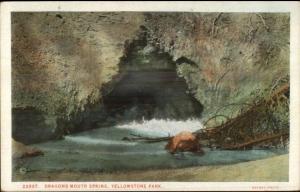 HAYNES Yellowstone Dragons Mouth Spring #22637 c1920 Postcard EXC COND