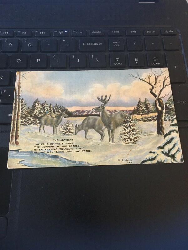 Vintage Postcard; Enchantment ( Winter) LH Dude Larsen