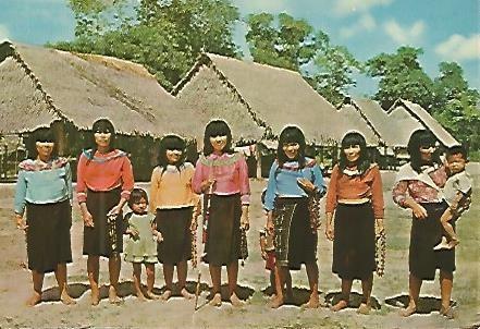 POSTAL 53069: MASISEA (PERU). Grupo de indias Shipibo