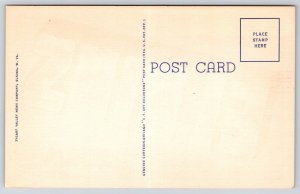 Elkins West Virginia~Buildings In Letters~Large Letter Linen~Vintage Postcard