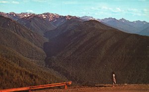 Vintage Postcard View of Hurricane Ridge Highway Olympic Mountains Washington WA