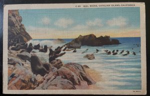 Vintage Postcard 1935 Seal Rocks, Catalina Island, California (CA)