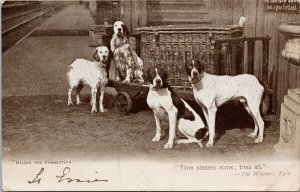 Four Dogs 'Missed The Connection' The Winter's Tale Canines Animals Postcard H15