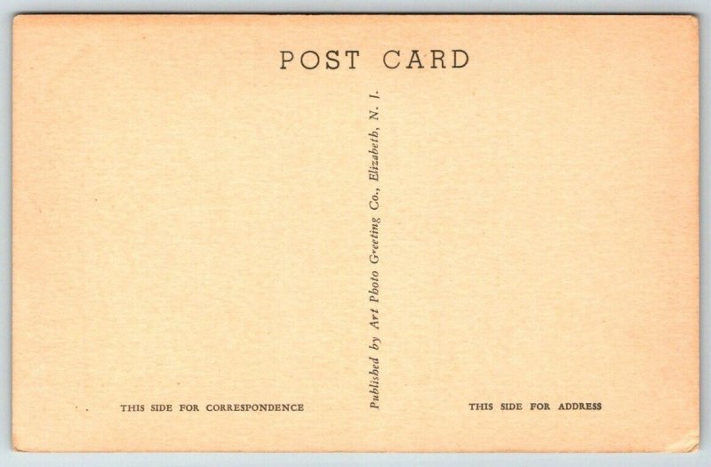 Public Park  Flemington  New Jersey  Postcard  c1915