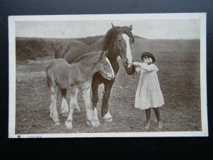 Horse CHUMS girl with Mare & Foal FOURFOOTED FRIENDS c1906 by Raphael Tuck 5589