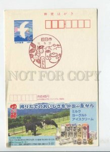 451032 JAPAN POSTAL stationery dairy cows advertising pigeon on stamp special