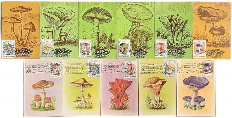 Romania set of 11 maximum cards 1988 mushrooms that can be eaten topic postcards 