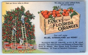 MIAMI, Florida FL ~ Orange Grove FLOYD'S FRUIT GROVE Roadside c1940s  Postcard