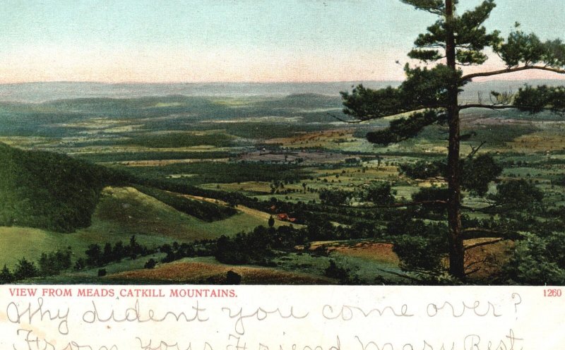 Vintage Postcard View From Meads Catskill Mountains New York NY A.C. Bosselman