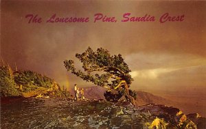The Lonesome Pine Sandia Crest - Albuquerque, New Mexico NM Postcard