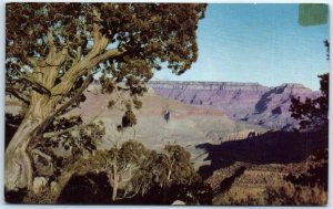 Postcard - Grand Canyon - Arizona