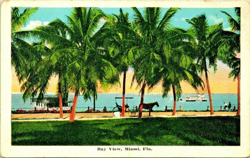 Biscayne Bay View Horse and Carriage Miami FL Florida 1920s Postcard UNP Unused