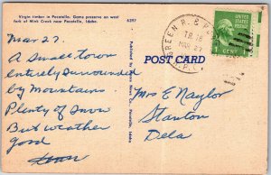 VINTAGE POSTCARD VIRGIN TIMBER NEAR POCATELLO IDAHO MAILED R.P.O. 1947