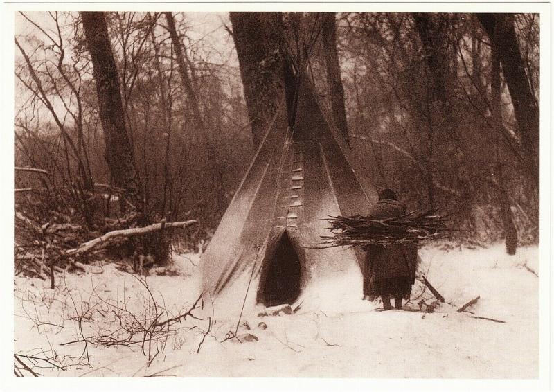 Crow Teepee Firewood Gathering 1908 Native American Modern Postcard