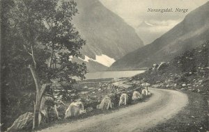 Vintage Postcard: Norangsdalen, Norway, Queen's Route Road, Unposted