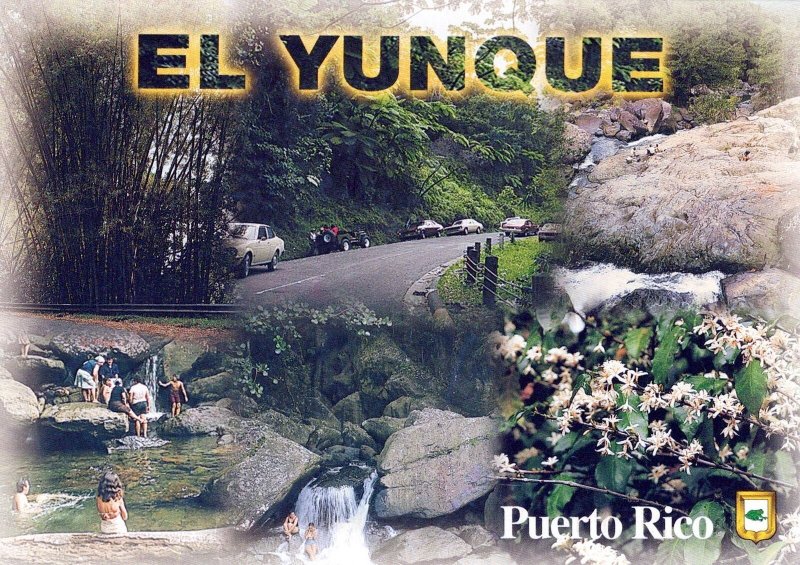 VINTAGE POSTCARD CONTINENTAL SIZE EL YUNQUE VISTA PUERTO RICO