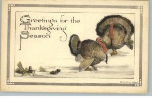 Thanksgiving Turkeys c1910 Postcard