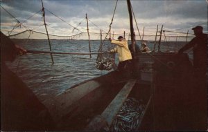 Provincetown MA Massachusetts Cape Cod Fisherman c1950-60s Vintage Postcard