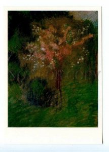 498654 USSR 1988 year painting Boris Ioganson Cherry blossoms postcard