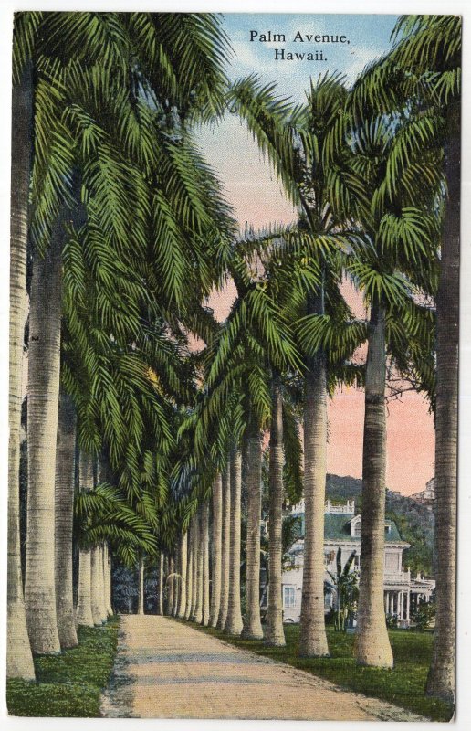 Palm Avenue, Hawaii