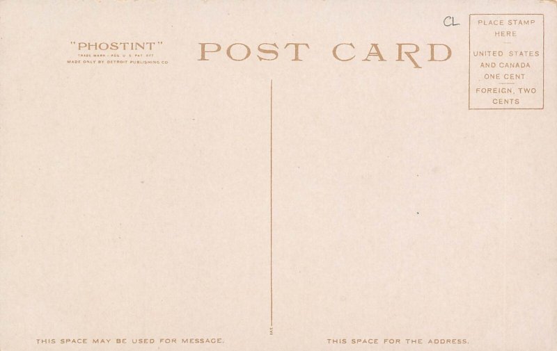 High School Albuquerque New Mexico 1910c Phostint postcard