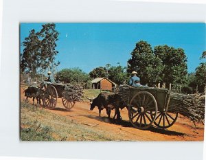 Postcard Carretas Paraguay