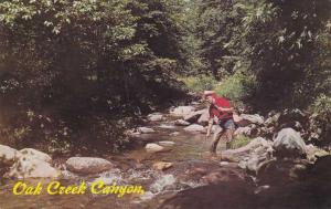 Fishing at Oak Creek Canyon AZ, Arizona