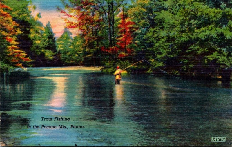 Pennsylvania Trout Fishing In The Pocono Mountains