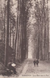 Tervueren Man Reading Newspaper Sous Bois Dans Le Parc Belgium Old Postcard