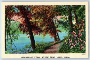 White Bear Minnesota MN Postcard Greetings Lake River Exterior View 1940 Vintage