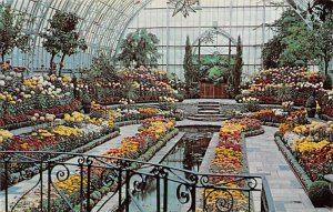 Flower Show Como Park Conservatory Flower Show Como Park Conservatory - Como ...